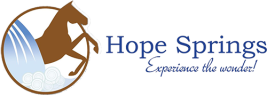 Footer Logo